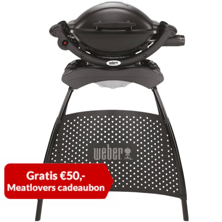 Weber Q1000 + stand barbecue